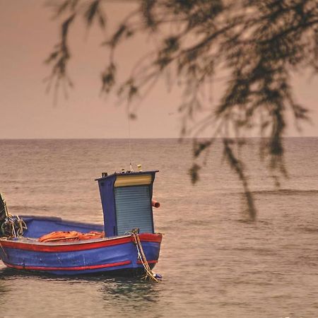 Casa Vacanze Lisa Torre Ovo Kültér fotó