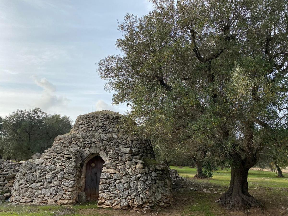 Casa Vacanze Lisa Torre Ovo Kültér fotó