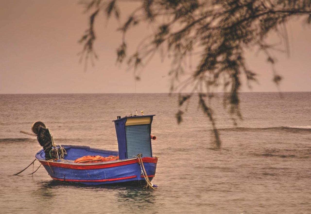 Casa Vacanze Lisa Torre Ovo Kültér fotó